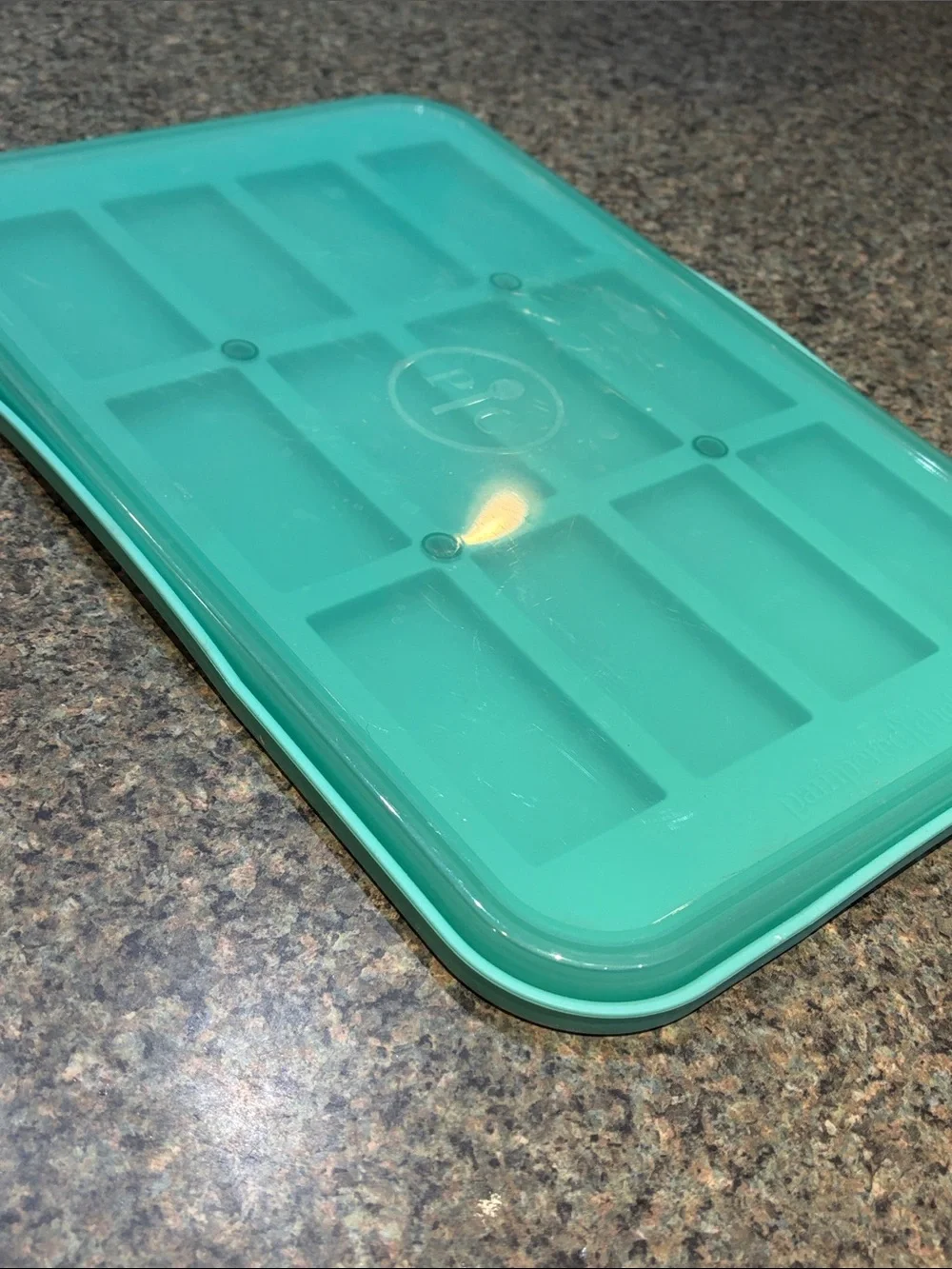 Pampered Chef Teal Silicone Freezer Tray with Lid